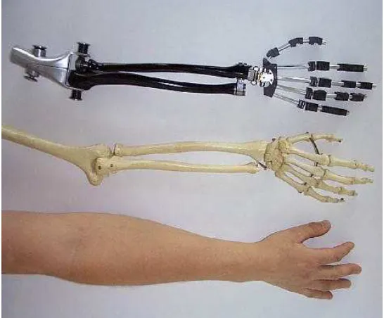 Fig.  3  Prototype arm embodying complete set of joint analogies