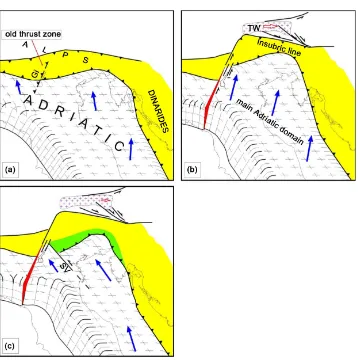 Figure 5. Tentative reconstruction of the geodynamic/tectonic setting that led to the reactivation change required the reactivation, as a left-lateral fault system, of an old discontinuity (Schio- of two major discontinuities in the northern Adriatic forel