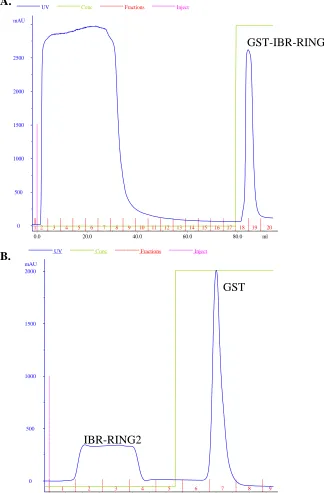 Figure  3.2: Chromatograms of GST purification  A. Chromatogram of a typical GST affinity purification