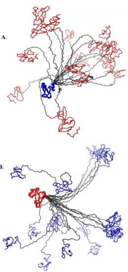 Figure  3.8: Superposition of 20 structures overlay of IBR-RING2, on each of the IBR (blue) and RING2 (red) domains