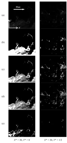 Figure 2. Examples of multilevel thresholding of PLIF images for two ages, (d) the four-level images, and (e) the binarized images by “irre-gular” binarization based on the third level threshold of four-level rization based on threshold by Otsu’s method, (