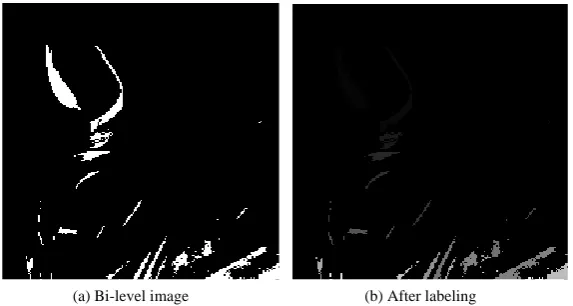 Figure 3. Example of connected components labeling. In (a), the white areas is dye patches; in (b), the dye patches in (a) are separated apart by assigning different gray levels
