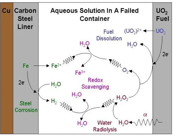 Figure 1.12 Illustration of possible electrochemical/chemical interactions within a failed 