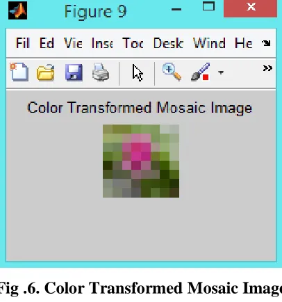 Fig .6. Color Transformed Mosaic Image 