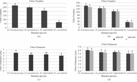 Figure 2. Measurement length, width, and thickness of M. brachycarpabars with same notation are not significantly different by theDuncan 0.05 test , M