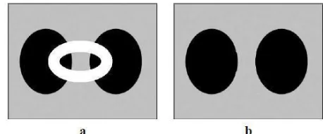 Figure 3. Comparison with traditional structure reconstruction. (a) Original image . The target region is the white ellipse in the centre