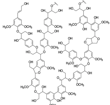 Figure 1-1-Structure of a fragmented lignin molecule (Binder et al., 2009). 