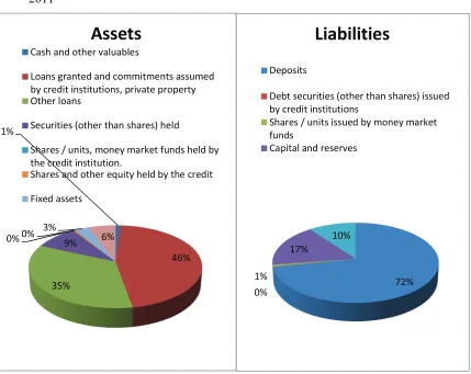 Figure 1: The aggregated balance sheet for Romanian banking sector, average 2007-