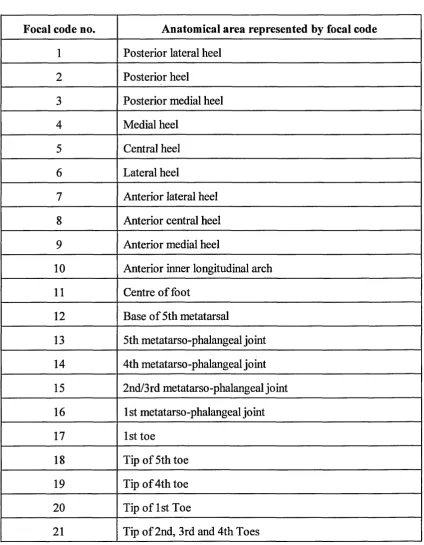 TABLE 4 Anatomical references for focal codes -  the positions