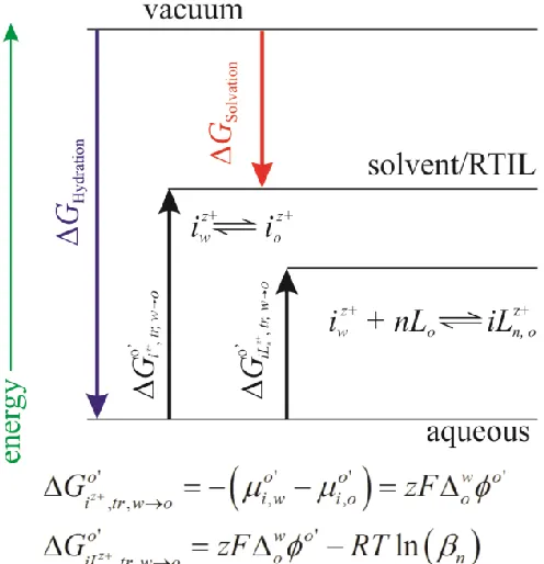 Figure 1.2: Thermodynamic diagram of simple and facilitated ion transfer.  Here the 