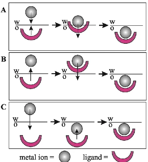 Figure 1.3: Illustrations of three possible metal ion-ligand biphasic coordination 