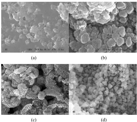 Figure 4. SEM images of the ZnO nanostructure prepared from fresh solution with different annealing temperature of (a): 300˚C; (b): 400˚C; (c): 500˚C; (d): 600˚C