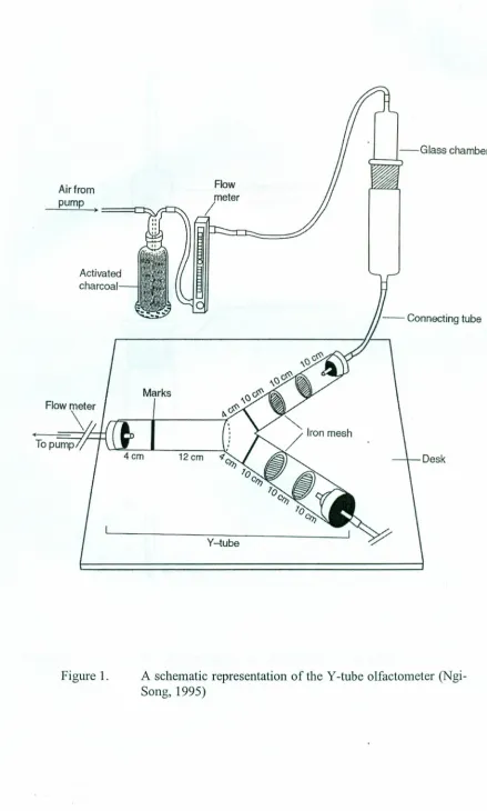 Figure 1.A schematic representationSong, 1995)