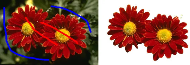 Figure 1.5: Interactive image segmentation: user provided strokes (Left) and result (right).