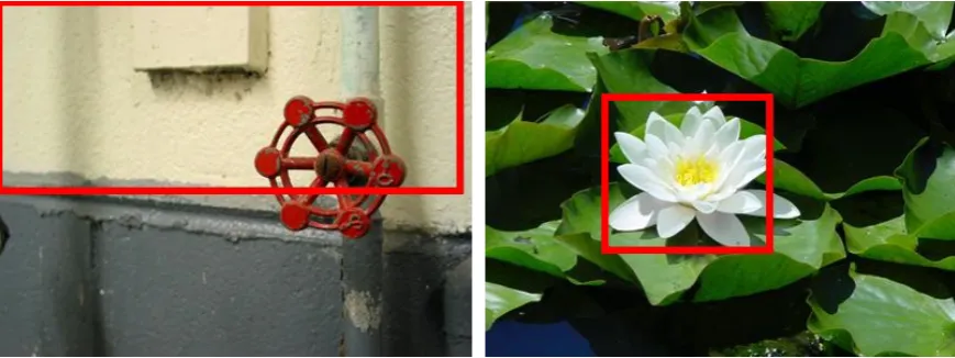 Figure 1.7: Color separation gives segments with low entropy.