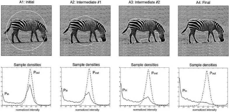 Figure 3.3: (top row) Intensity-based segmentation of Zebra at each iteration. (bottom row)Corresponding intensity distributions of Zebra and its background