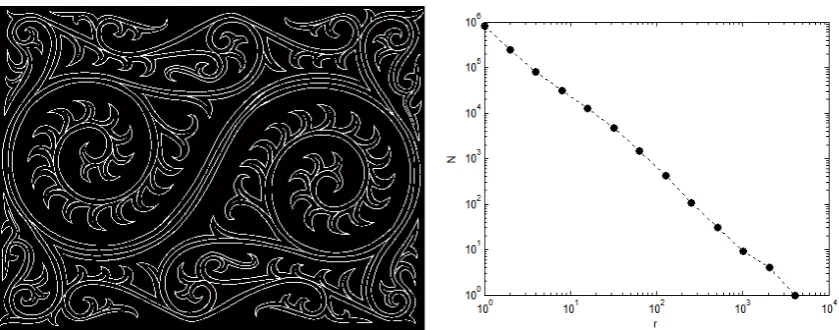 Figure 1. A gorga and the respective box counting calculation. 