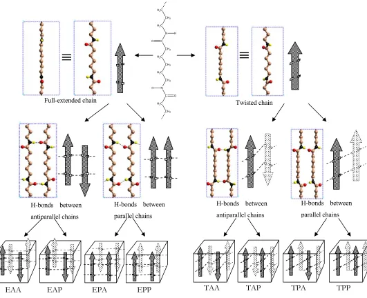 Figure 2. Eight possible classes of crystal structures constructed with different packing 