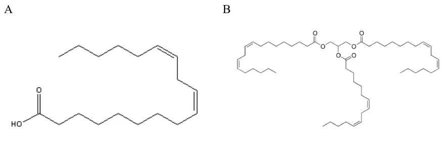 Figure 2. Structures of lipids. A) Linoleic acid and B) trilinolein which is composed of 