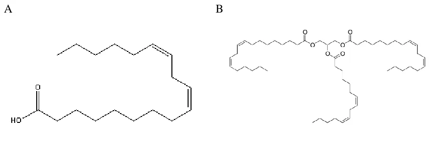 Figure 2. Structures of lipids. A) Linoleic acid and B) trilinolein which is composed of 