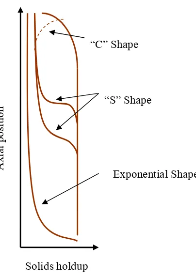 Figure 2.2  Typical solids holdup profile (Zhu, 2005) 