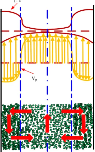 Figure 2.4  Schematic profile of radial solids flow structure (Bai et al., 1988) 
