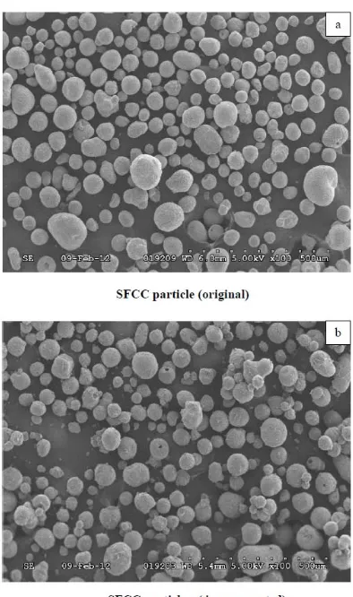 Figure 3.3  SEM images of original and impregnated SFCC particles at × 500 magnification