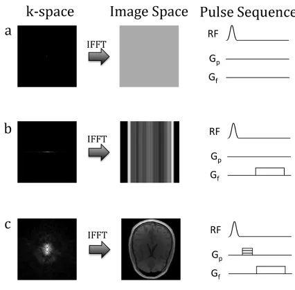 Figure 1.1 The encoding process.  a)  In the absence of gradients, only the central point of k-space can be sampled