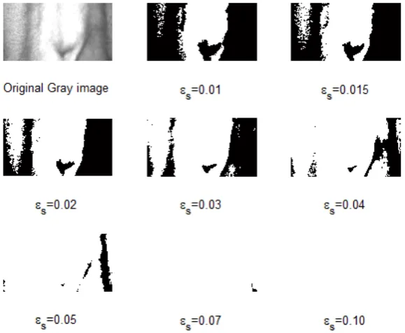 Figure 4.8, where the black and white colors represent the dense and dilute phases 