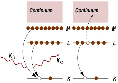 Figure 1-6 Decay of the excited state: x-ray fluorescence (left) and the Auger effect (right)