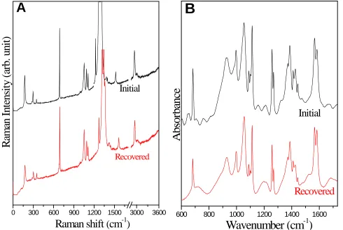 Fig. 2.16 Raman (A) and IR (B) spectra of recovered 5-MTZ upon decompression in comparison with those respective near ambient-