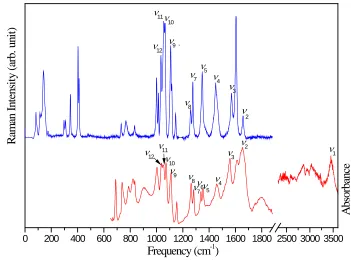 Fig. 3.2 Raman spectrum of BTA·H2O (top) in comparison with IR spectrum (bottom) in the 