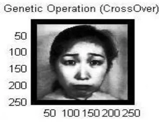 Fig. 6. Image after applying Crossover 