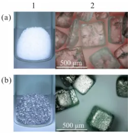 Figure 2. (1) Photographs and (2) optical microscope images of NaCl samples (a) before and (b) after sputtering with Pt
