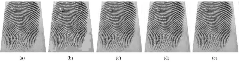 Fig. 14.   (a) Original image with size 328 ×  364, (b) JPEG, (C) JPEG 2000, (d) WSQ, (e) the proposed method at compression ratios 40 : 1.computational complexity