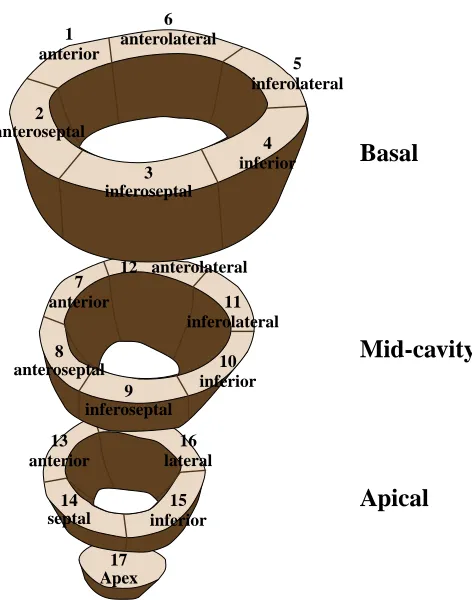 Figure 1.2: AHA standard for LV regional segments.