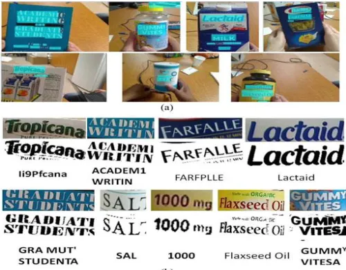 Fig. 16. (a) Some results of text localization on the user- captured dataset, where localized text regions are marked in blue