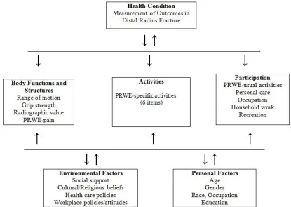 Figure 1.2: Framework of the ICF which is composed of patient’s function and disability 