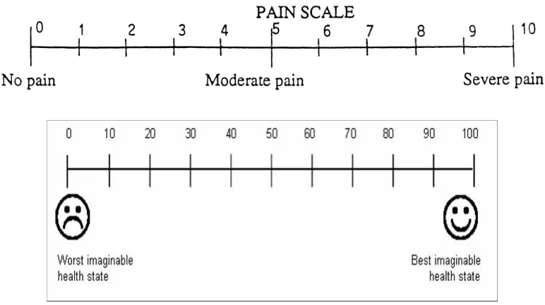 Figure 1.5: Samples of Visual Analogue Scale (VAS) 