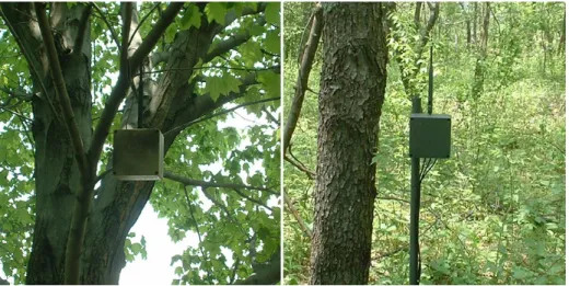 Figure 3.2. Examples of node configurations in the ASWP testbed. A node hanging from a tree without external sensors (left) and a node mounted onto a PVC pipe with external sensors attached (right).