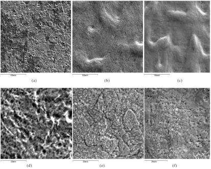Figure 3. The structure of the surface of steel samples after air plasma treatment at P = 0.04 Torr, N = 1.
