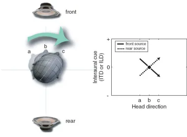Figure 3.  Differentiating front from rear sound sources using head movement cues.