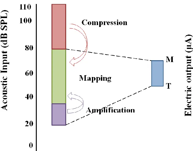 Figure 5.  Diagram of the automatic gain control (AGC) in the cochlear implant (CI).   
