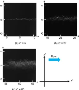Figure 5 takes the original PLIF images for three locations for example. In From downstream distance x*, which means that the diffusion of the plume progresses with dye concentration