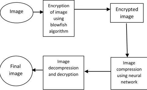Figure 2.  Input image 