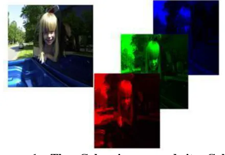 Figure 1: The Color image and its Color  (R,G,B) channels  