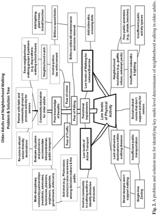 Fig. 2. A problem and solution tree for identifying key multi-level determinants of neighborhood walking in older adults.