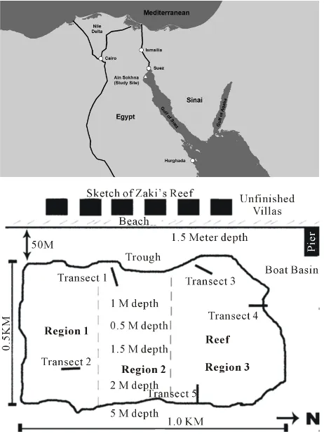 Figure 1. Location of Zaki’s Reef in the Red Seas Gulf of Suez, approximate 80 km south of the highly trafficked Suez Canal