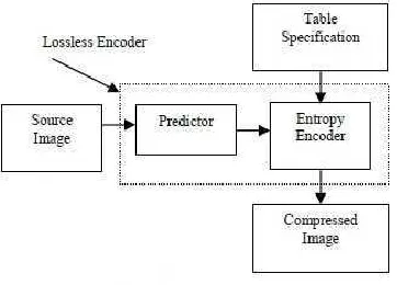 Fig. 2: Lossless Algorithm 