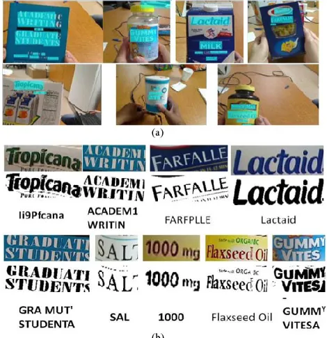Fig. 16. (a) Some results of text localization on the  user-captured dataset, where localized text regions are marked in blue